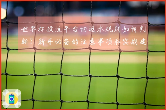世界杯投注平台的返水规则如何判断？新手必备的注意事项和实战建议