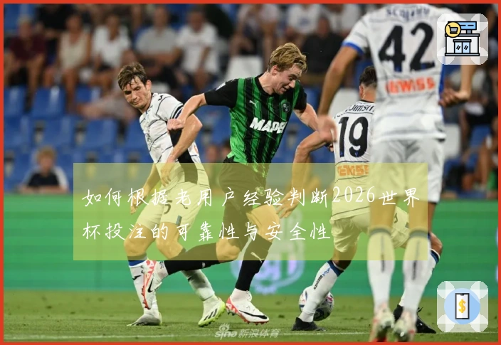 如何根据老用户经验判断2026世界杯投注的可靠性与安全性