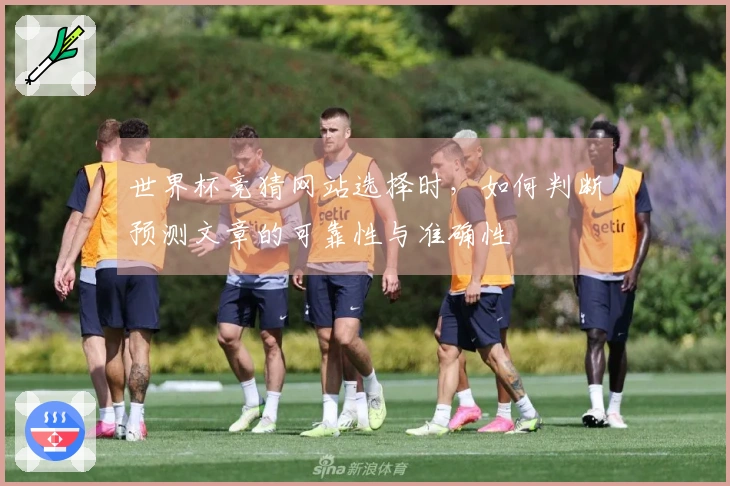世界杯竞猜网站选择时，如何判断预测文章的可靠性与准确性