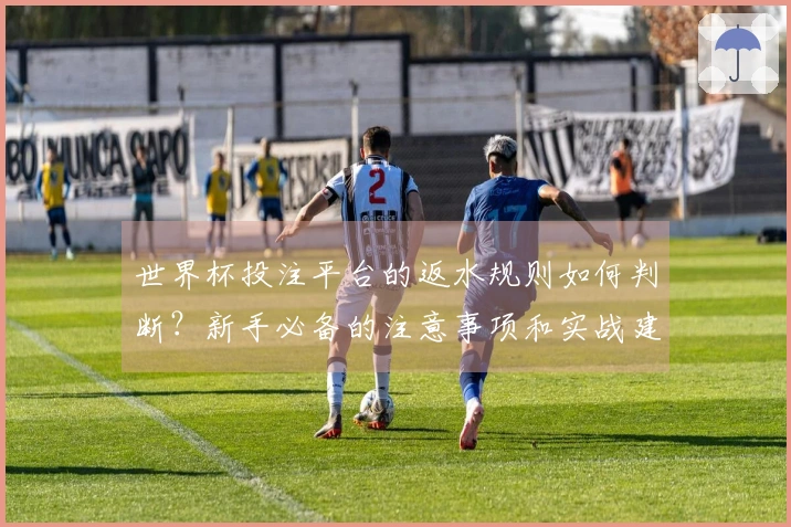 世界杯投注平台的返水规则如何判断？新手必备的注意事项和实战建议