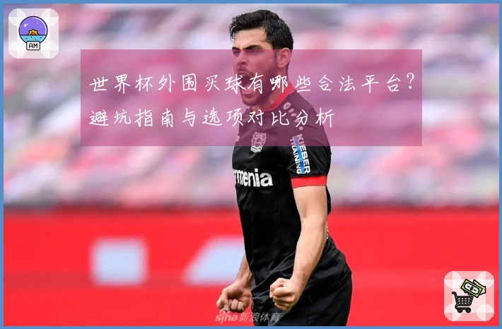 世界杯外围买球有哪些合法平台？避坑指南与选项对比分析