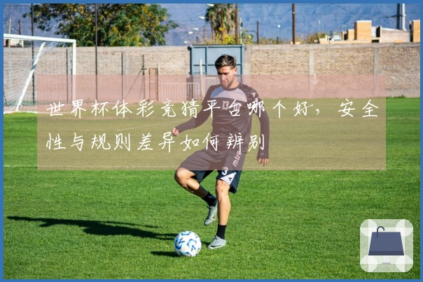 世界杯体彩竞猜平台哪个好，安全性与规则差异如何辨别