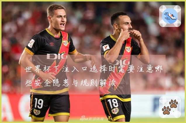 世界杯下注入口选择时需要注意哪些安全隐患与规则解读