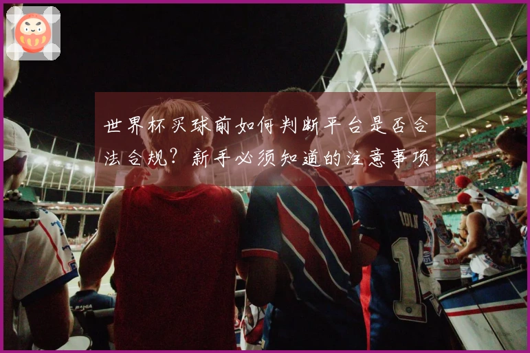 世界杯买球前如何判断平台是否合法合规？新手必须知道的注意事项