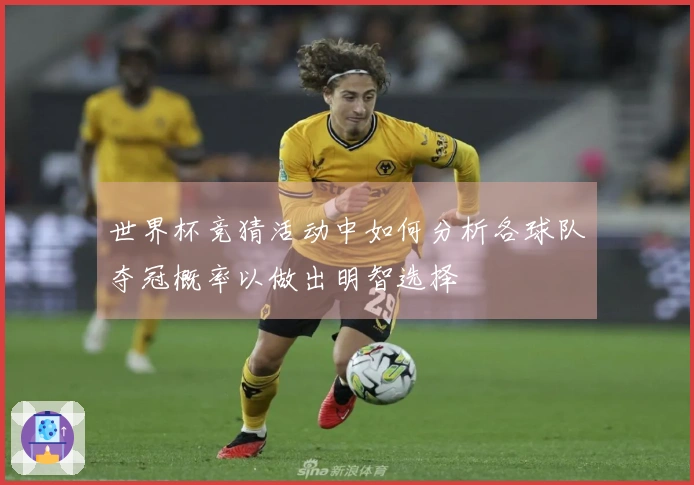 世界杯竞猜活动中如何分析各球队夺冠概率以做出明智选择