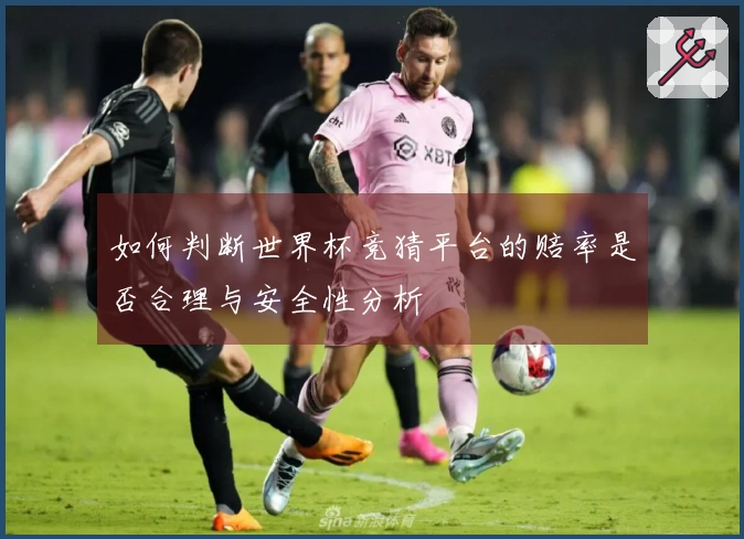 如何判断世界杯竞猜平台的赔率是否合理与安全性分析