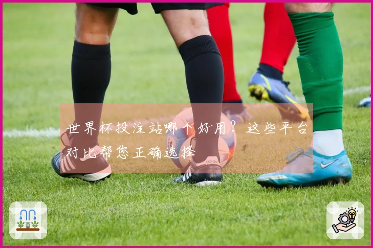 世界杯投注站哪个好用？这些平台对比帮您正确选择