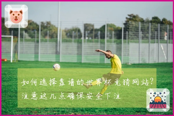 如何选择靠谱的世界杯竞猜网站？注意这几点确保安全下注