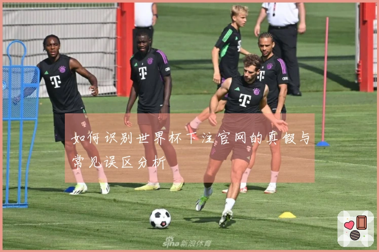 如何识别世界杯下注官网的真假与常见误区分析