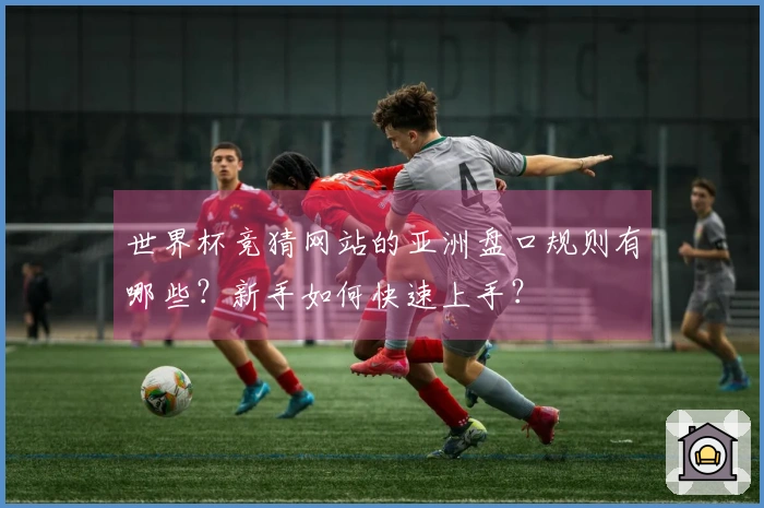 世界杯竞猜网站的亚洲盘口规则有哪些？新手如何快速上手？