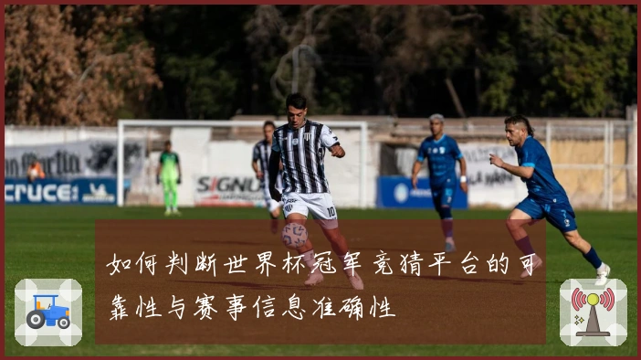 如何判断世界杯冠军竞猜平台的可靠性与赛事信息准确性