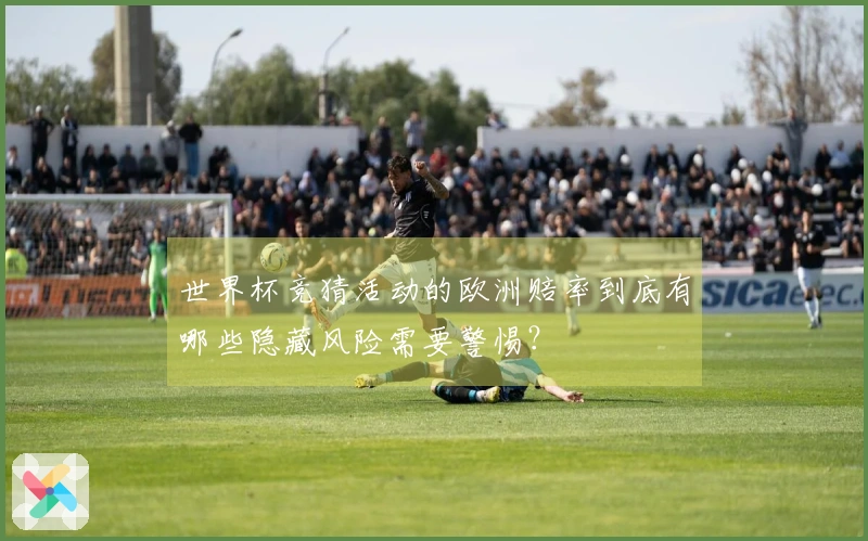 世界杯竞猜活动的欧洲赔率到底有哪些隐藏风险需要警惕？