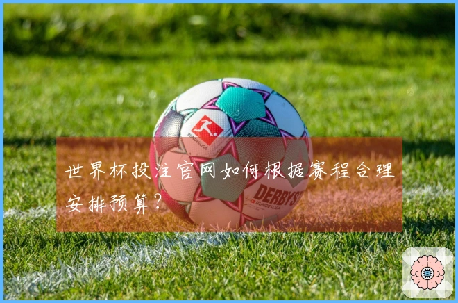 世界杯投注官网如何根据赛程合理安排预算？