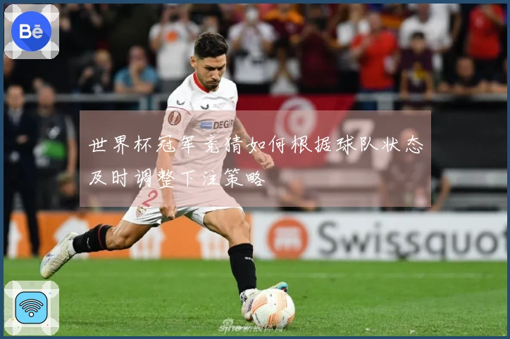 世界杯冠军竞猜如何根据球队状态及时调整下注策略