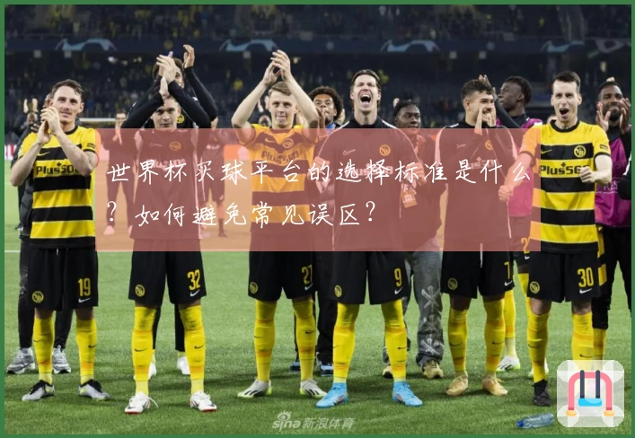 世界杯买球平台的选择标准是什么？如何避免常见误区？