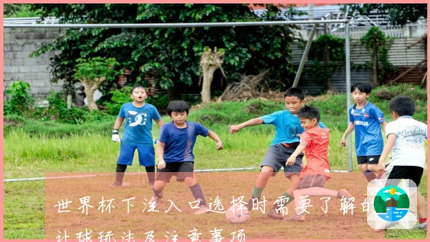 世界杯下注入口选择时需要了解的让球玩法及注意事项