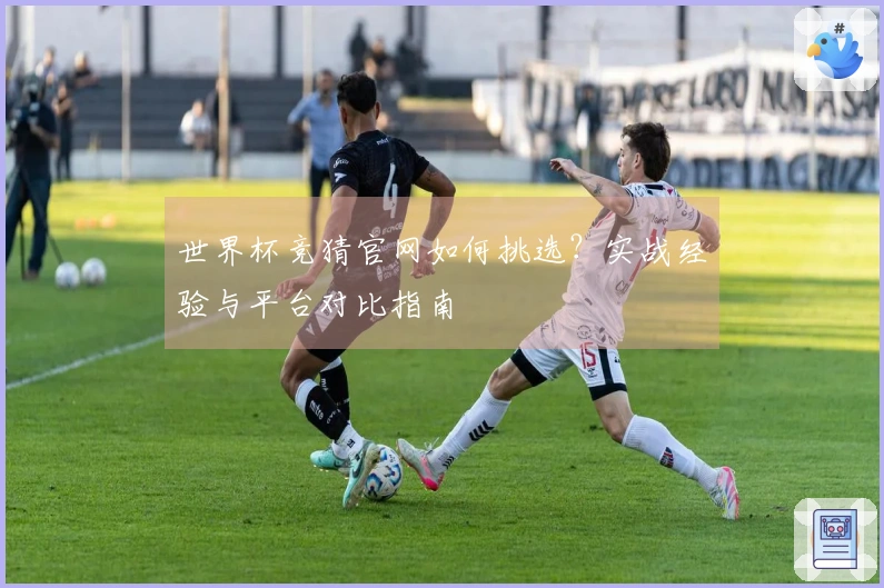 世界杯竞猜官网如何挑选？实战经验与平台对比指南