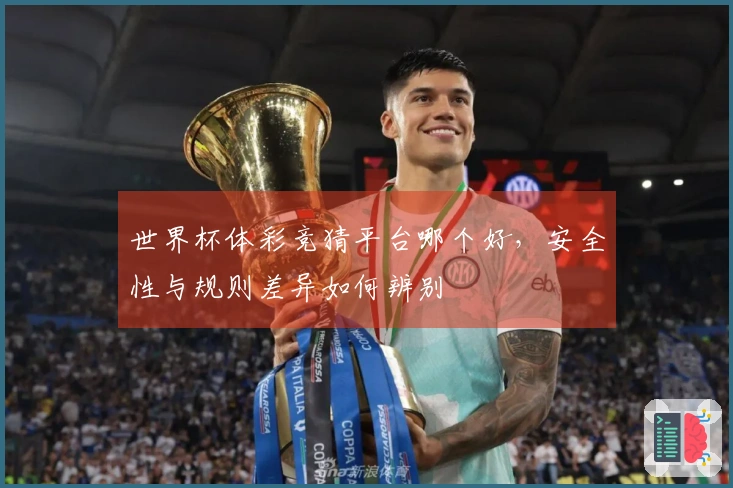 世界杯体彩竞猜平台哪个好，安全性与规则差异如何辨别