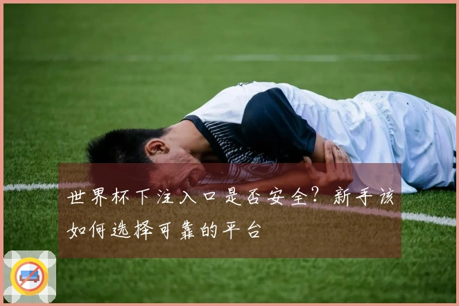 世界杯下注入口是否安全？新手该如何选择可靠的平台