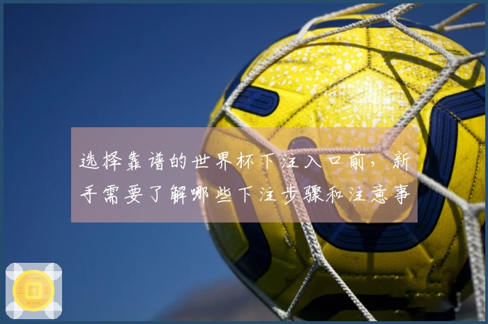 选择靠谱的世界杯下注入口前，新手需要了解哪些下注步骤和注意事项？