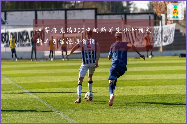 世界杯竞猜app中的赔率变化如何判断其可靠性与价值