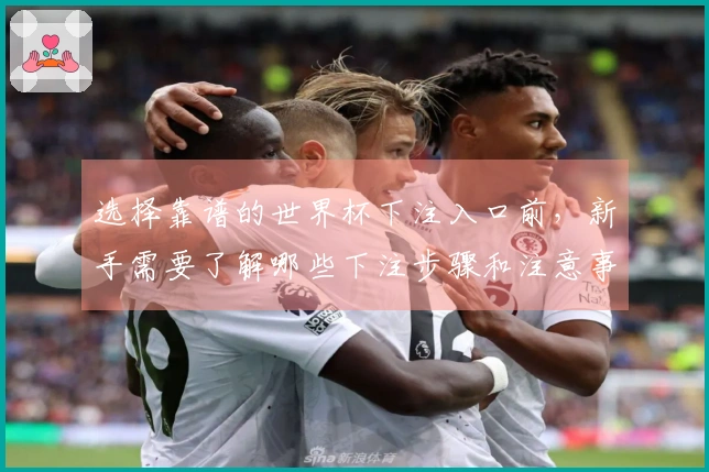 选择靠谱的世界杯下注入口前，新手需要了解哪些下注步骤和注意事项？