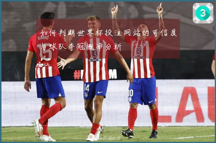 如何判断世界杯投注网站的可信度与球队夺冠概率分析