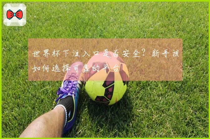 世界杯下注入口是否安全？新手该如何选择可靠的平台