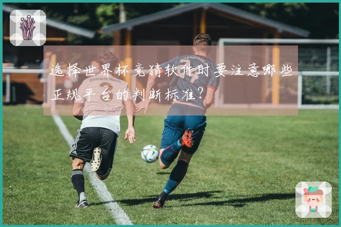 选择世界杯竞猜软件时要注意哪些正规平台的判断标准？