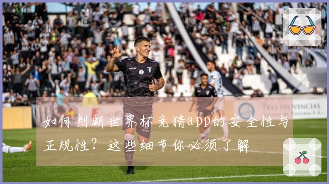 如何判断世界杯竞猜app的安全性与正规性?这些细节你必须了解