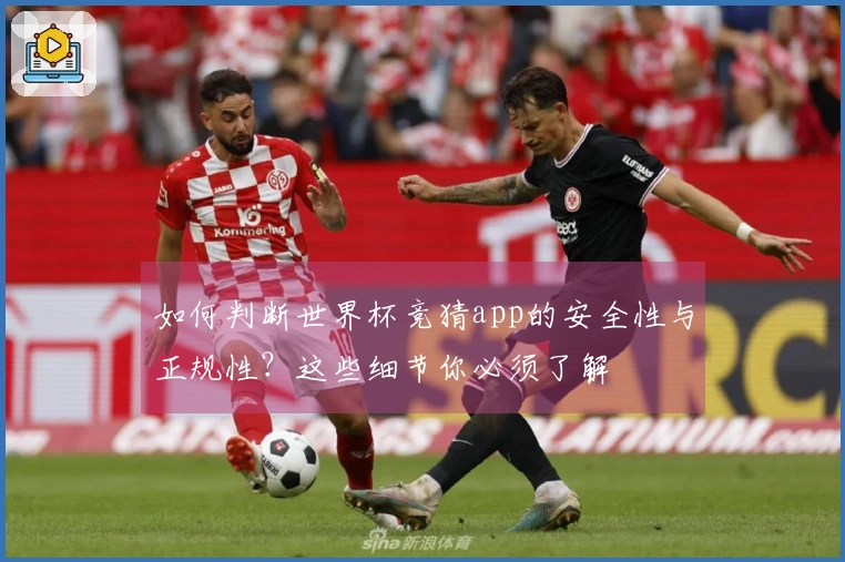 如何判断世界杯竞猜app的安全性与正规性？这些细节你必须了解