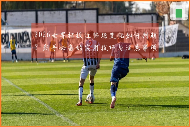 2026世界杯投注临场变化如何判断？新手必备的实用技巧与注意事项