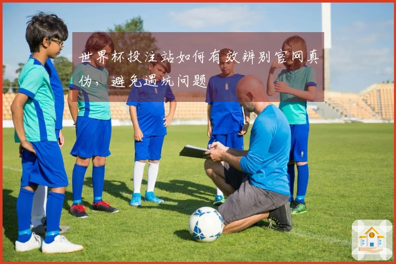 世界杯投注站如何有效辨别官网真伪，避免遇坑问题