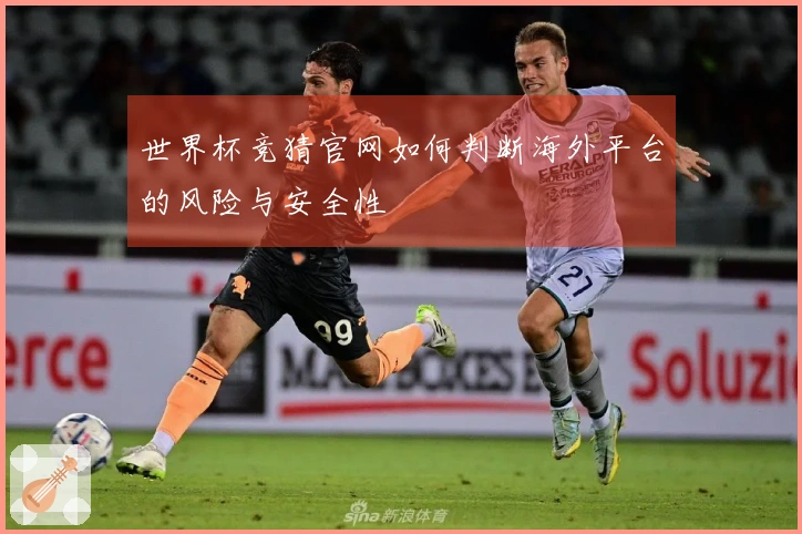 世界杯竞猜官网如何判断海外平台的风险与安全性