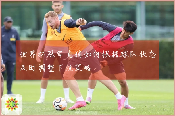 世界杯冠军竞猜如何根据球队状态及时调整下注策略