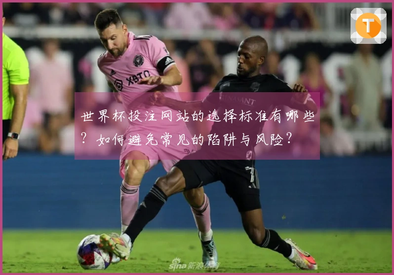 世界杯投注网站的选择标准有哪些?如何避免常见的陷阱与风险?