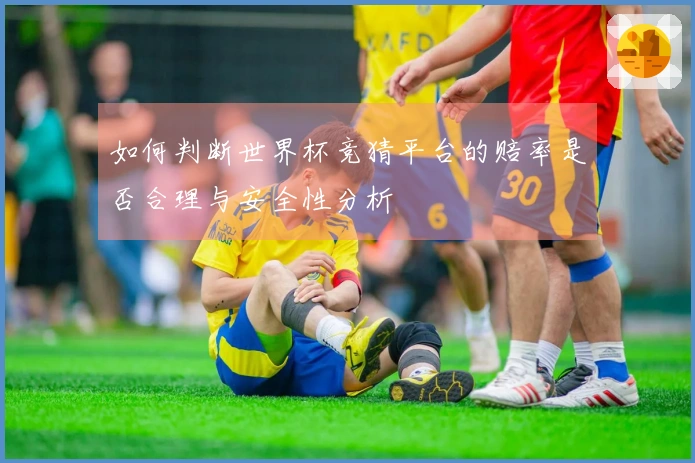 如何判断世界杯竞猜平台的赔率是否合理与安全性分析