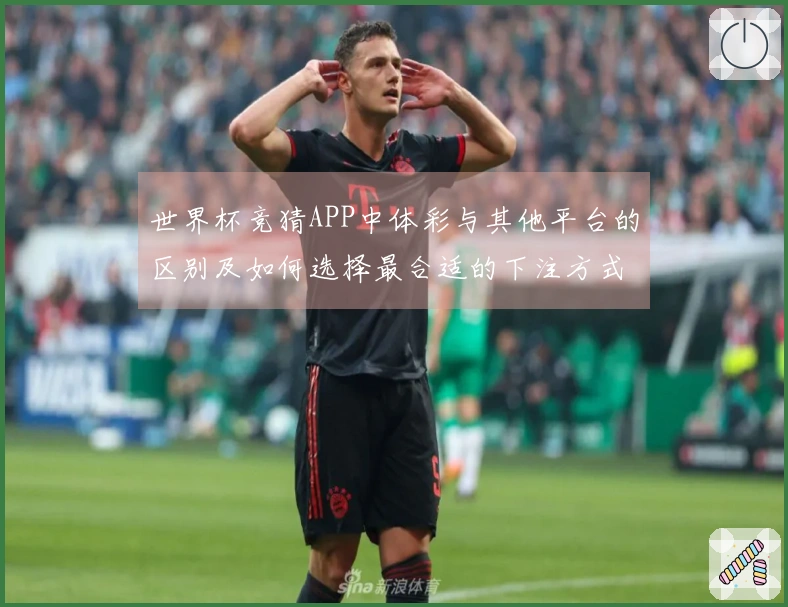 世界杯竞猜APP中体彩与其他平台的区别及如何选择最合适的下注方式