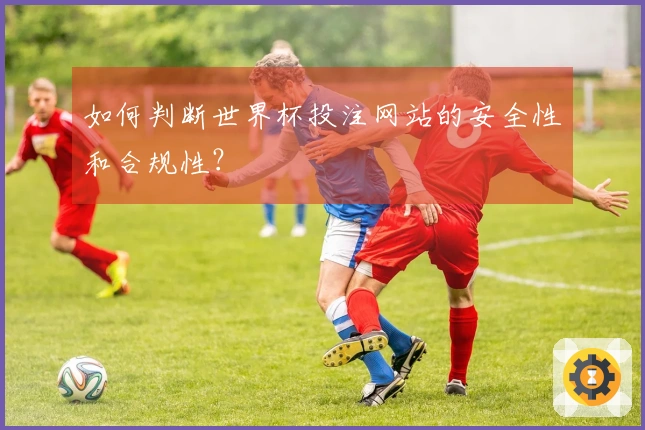 如何判断世界杯投注网站的安全性和合规性？
