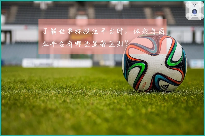 了解世界杯投注平台时，体彩与商业平台有哪些显著区别？