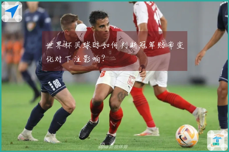 世界杯买球时如何判断冠军赔率变化对下注影响？
