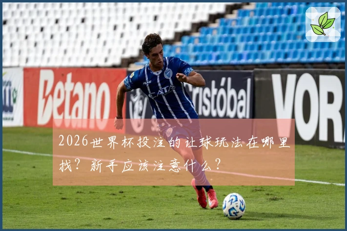 2026世界杯投注的让球玩法在哪里找？新手应该注意什么？